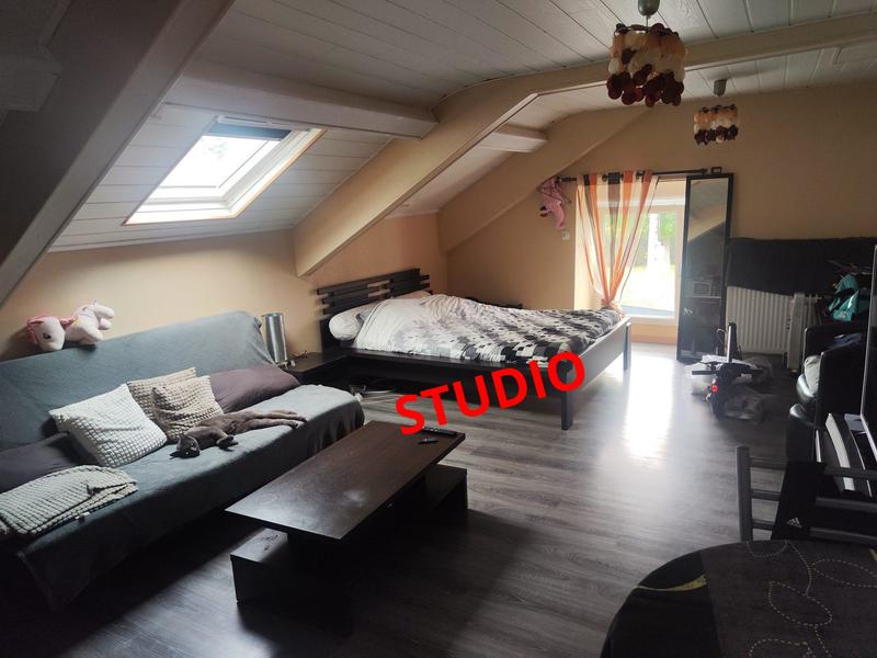 Maison - 305 m² - 9 pièces