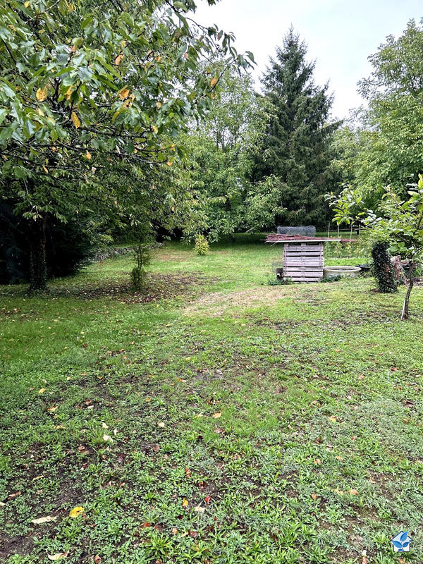 Viager - Maison ancienne - 117 m² - 6 pièces