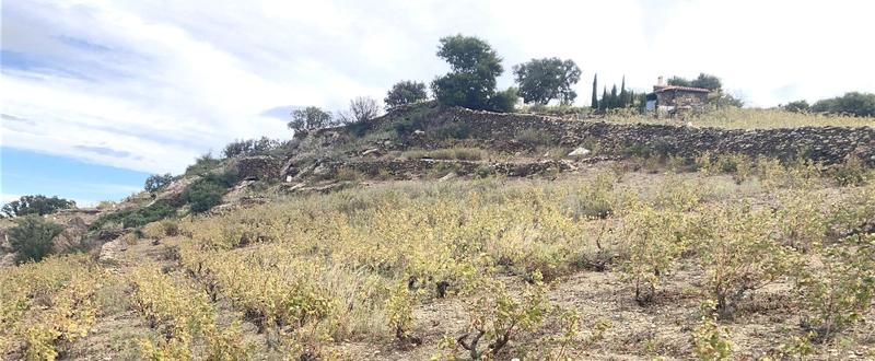 Terrain agricole - 10 846 m²