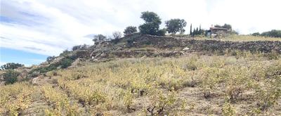 Terrain agricole - 10 846 m²