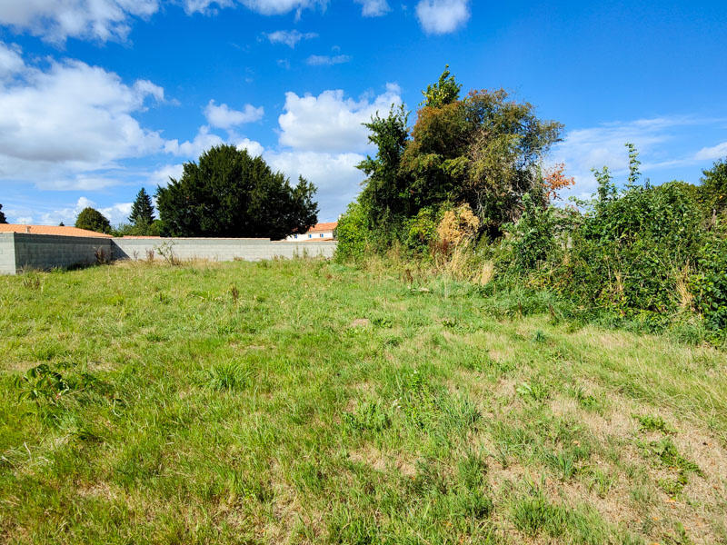 Terrain constructible - 1 435 m²