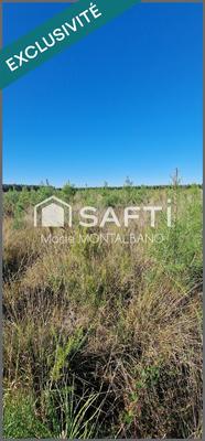 Terrain - 16 696 m²