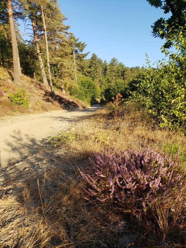 Maison de village - 42 m² - 3 pièces