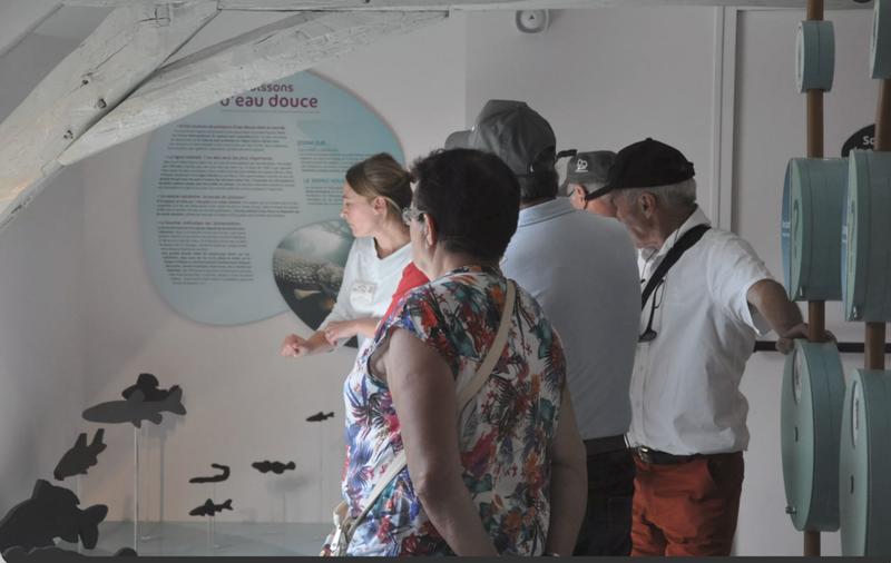 Une soirée au musée