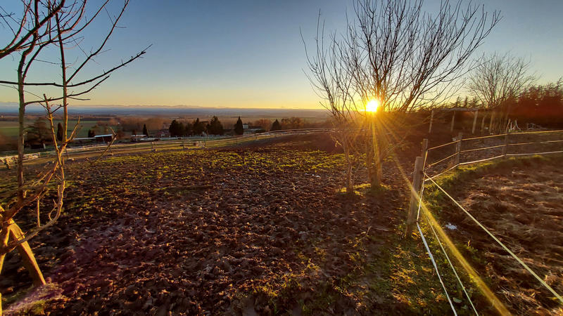 Fonds de commerce - Magasins - 62 459 m²