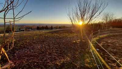 Fonds de commerce - Magasins - 62 459 m²