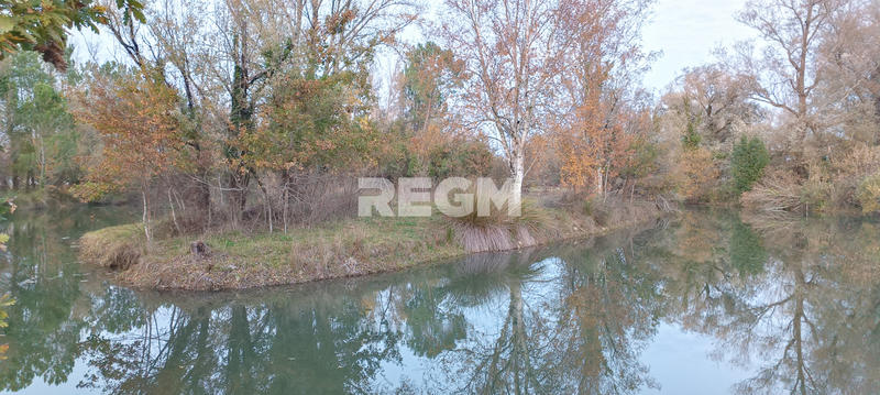 Terrain - 123 886 m²