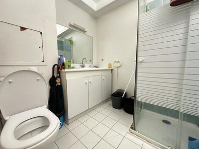 Studio - 19 m² - 1 pièce