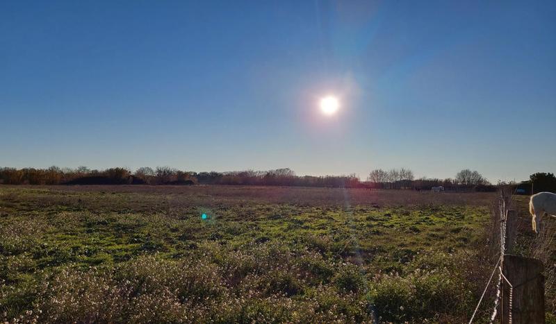 Terrain agricole - 8 750 m²