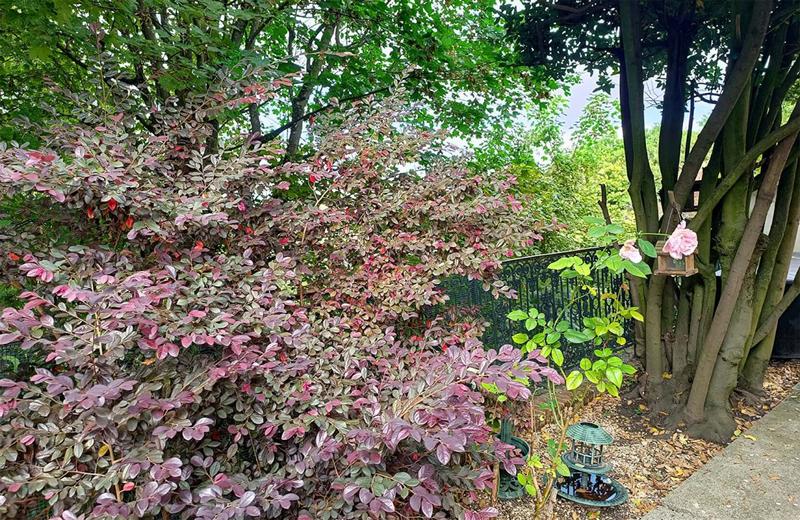 Maison - 300 m² - 12 pièces