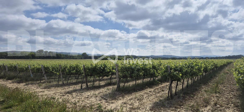 Terrain - 190 000 m²