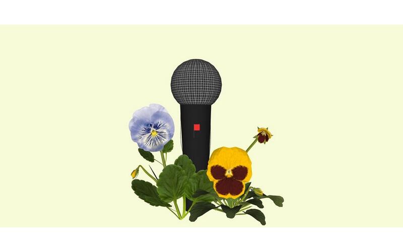 Exposition au Bel Ordinaire: la Barrière de la langue