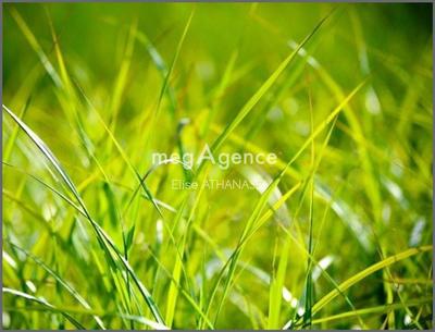 Terrain constructible - 535 m²