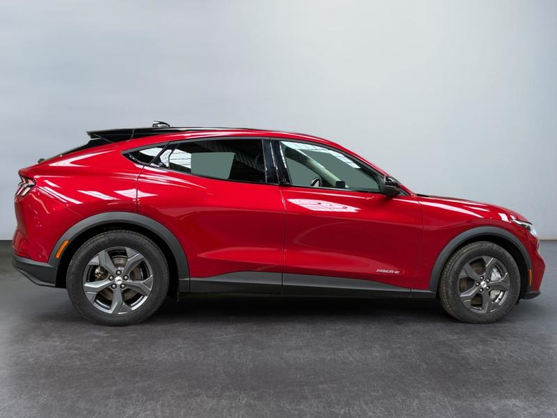 Ford Mustang Mach-E Standard Range 76 kWh 269 ch