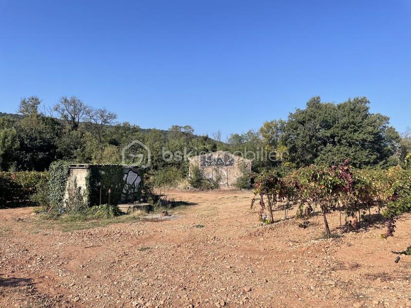 Terrain agricole - 45 000 m²