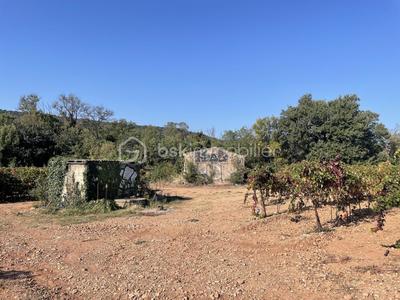 Terrain agricole - 45 000 m²