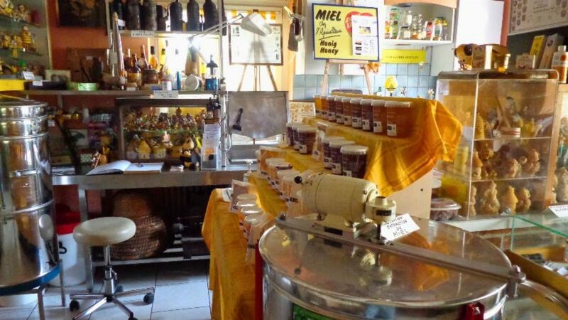 Visite du musée de l'abeille et de la miellerie