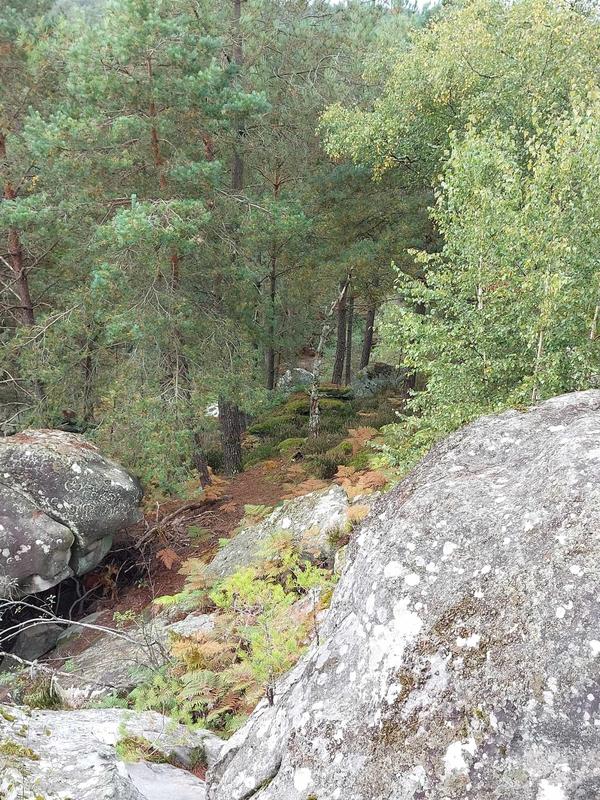 Randonnée en forêt de Fontainebleau : les gorges de Franchard