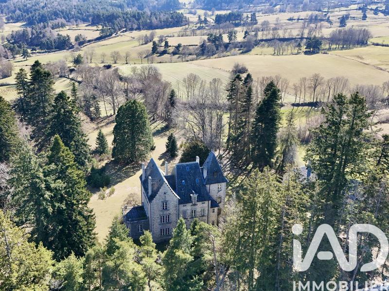 Château - 550 m² - 21 pièces