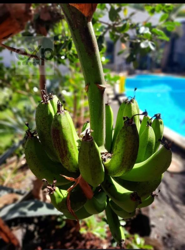 Maison - 127 m² - 4 pièces