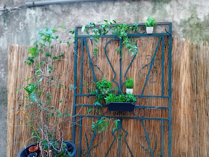 Appartement - 9 m² - 1 pièce