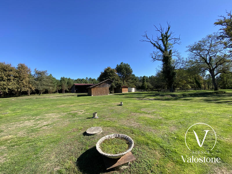 Maison - 246 m² - 6 pièces