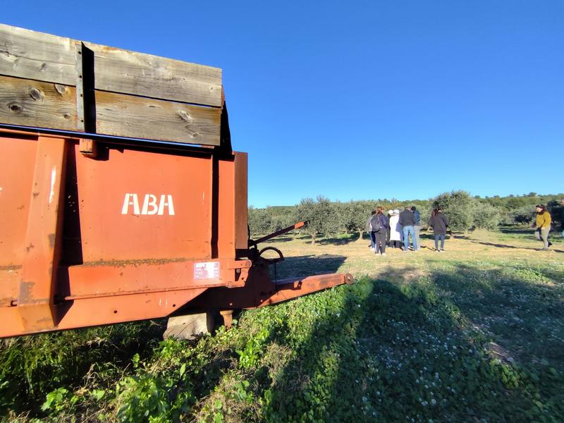 Rencontre avec une oléicultrice au Domaine Plan de Fossan