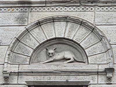 Patrimoine sur le pouce - Chats en façade