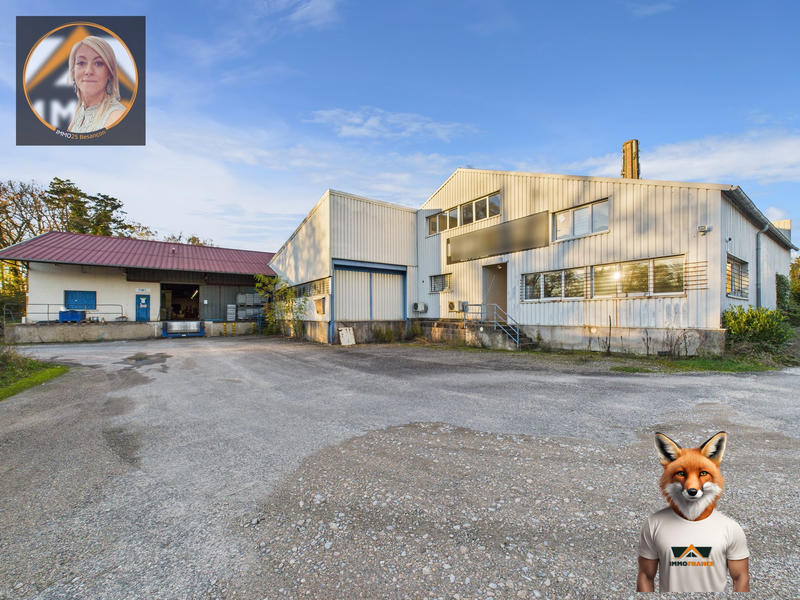 Local d'activités - 2 595 m²