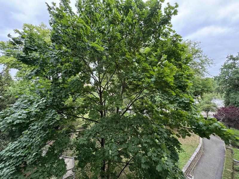 Appartement - 37 m² - 3 pièces