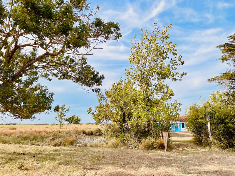 Longère - 97 m² - 5 pièces