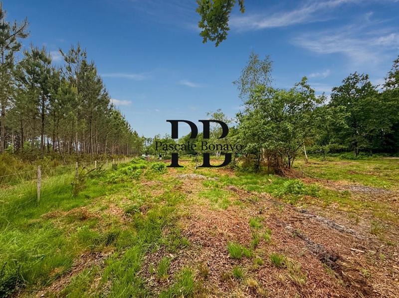 Terrain de loisirs - 2 327 m²