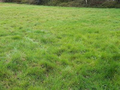 Terrain constructible - 320 m²