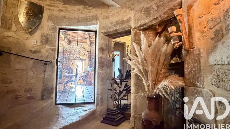 Château - 394 m² - 10 pièces