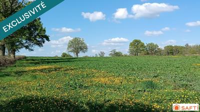 Terrain - 10 517 m²