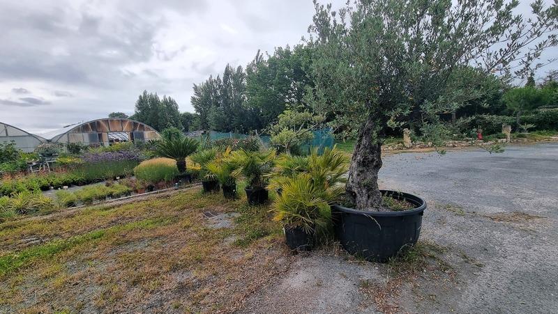 Fonds de commerce - 1 780 m²