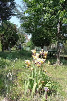 Pavillon - 100 m² - 5 pièces