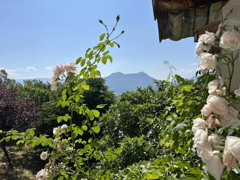 Maison - 335 m² - 13 pièces