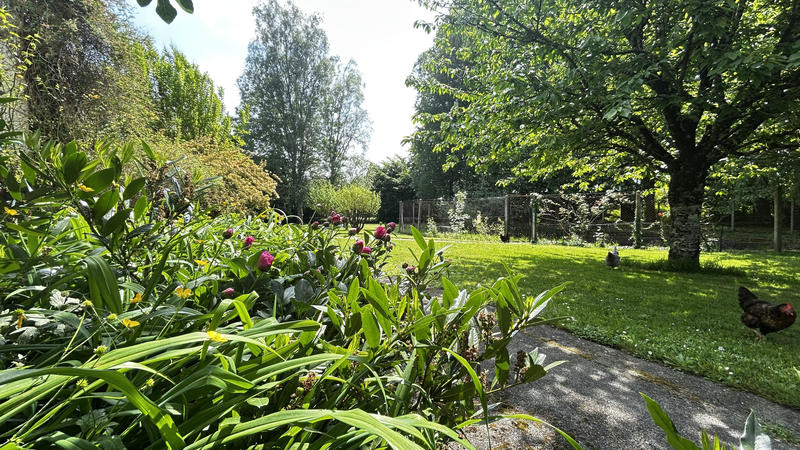 Maison - 342 m² - 10 pièces