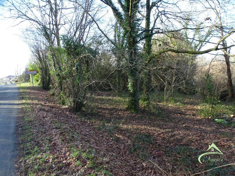 Maison ancienne - 210 m² - 7 pièces