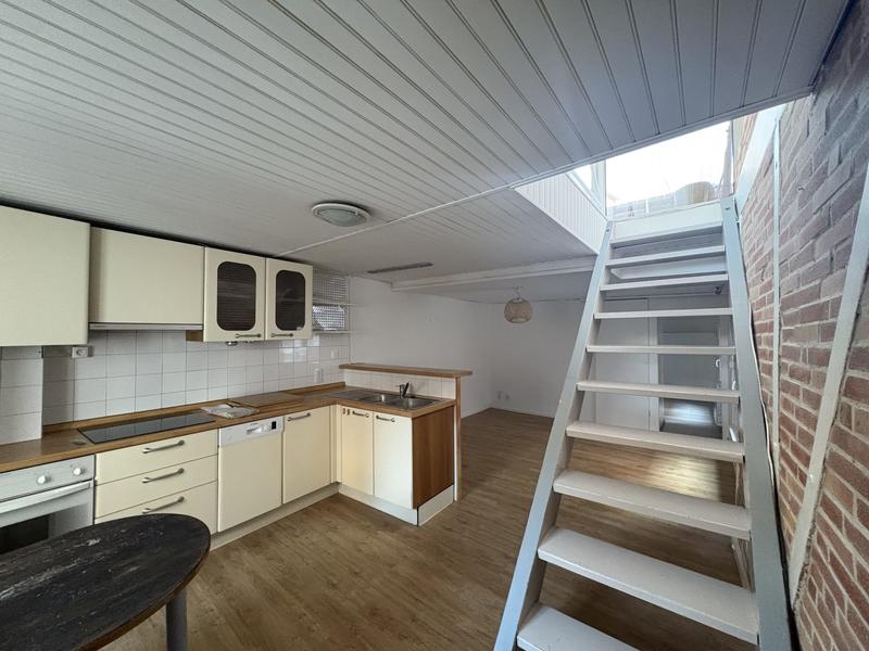 Duplex - 50 m² - 3 pièces