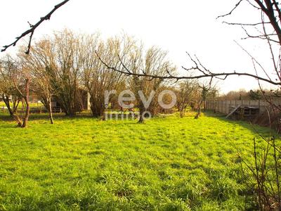 Longère - 220 m² - 5 pièces