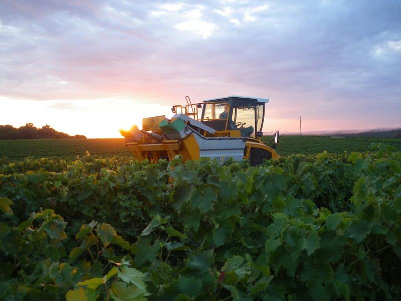 L'Alambiquée de Roumillac