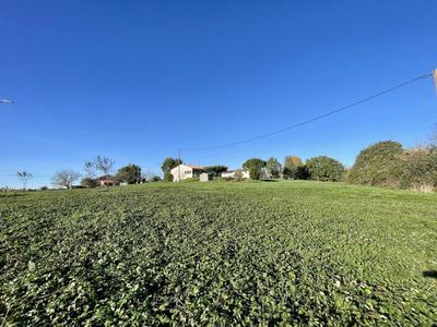 Terrain - 11 232 m²