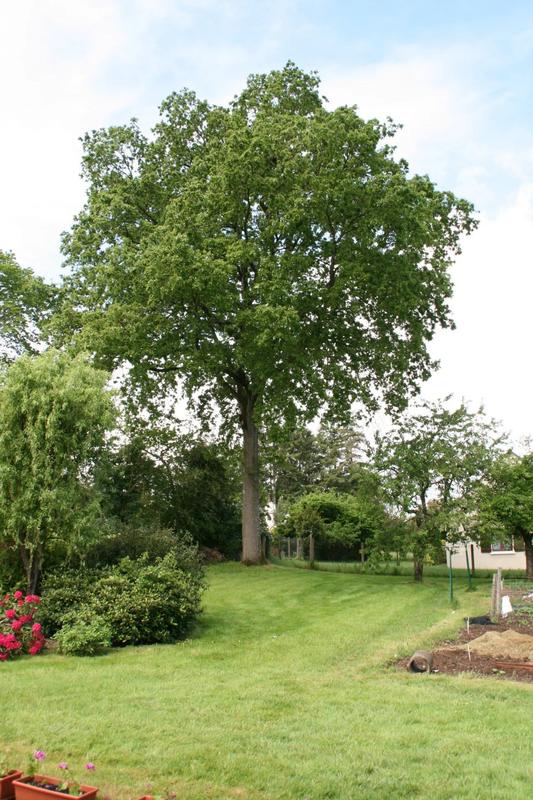 Maison - 170 m² - 9 pièces