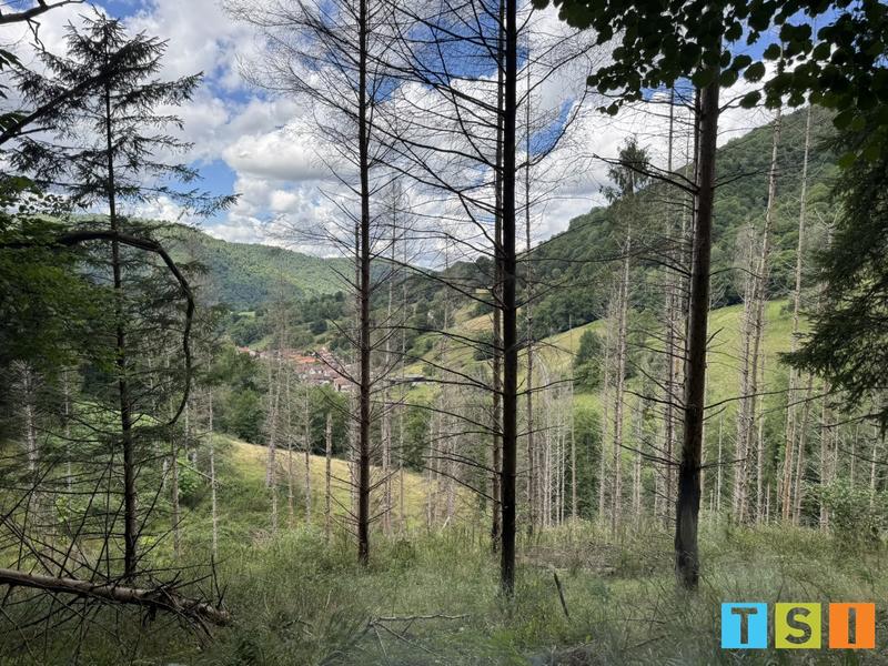 Maison - 25 m² - 1 pièce