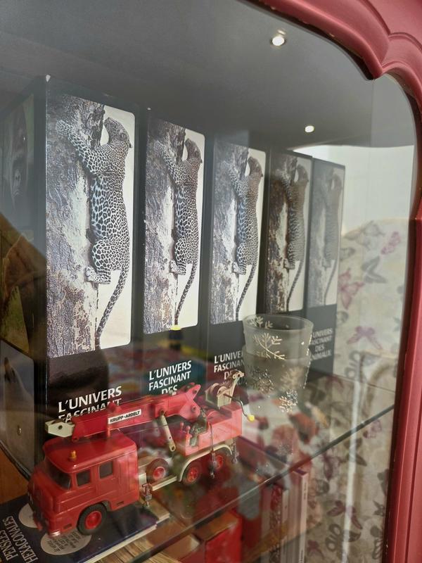 Maison contemporaine - 102 m² - 5 pièces