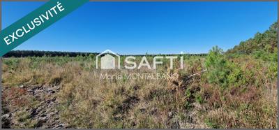 Terrain - 15 553 m²