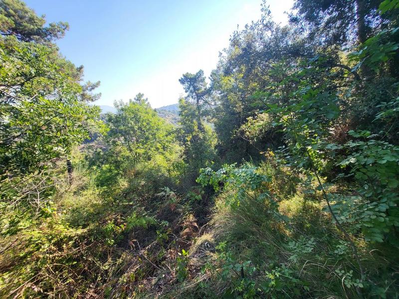 Terrain - 16 415 m²