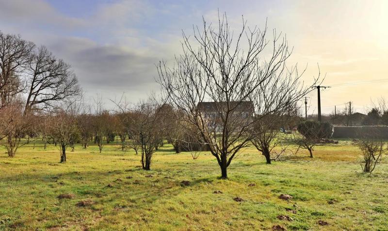 Propriété - 373 m² - 14 pièces